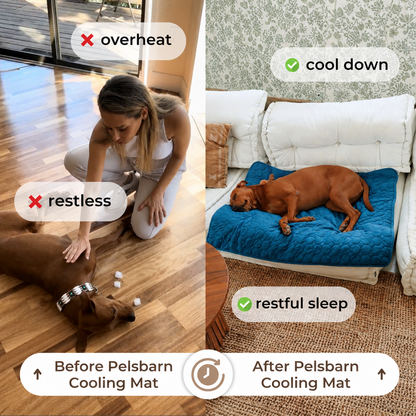 VELRIXY Cooling Mat